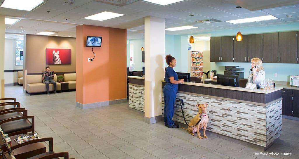 Clínica veterinária credenciada Unimev