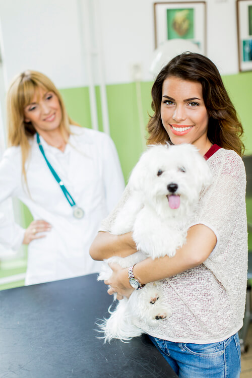 Atendimento veterinário Unimev